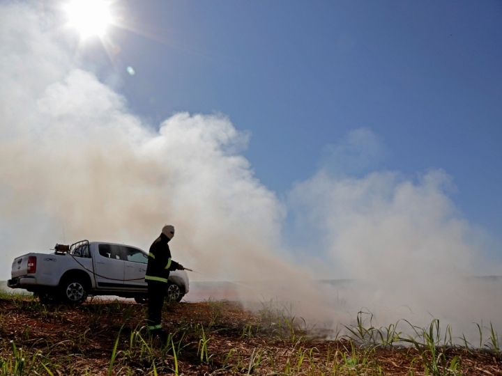 Tecnologia ajuda a detectar focos de incêndio em canaviais