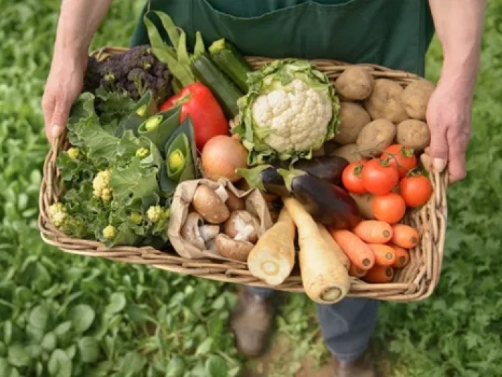 Mercado de orgânicos cresce quase 10%, impulsionado pelo aumento do consumo de alimentos em casa