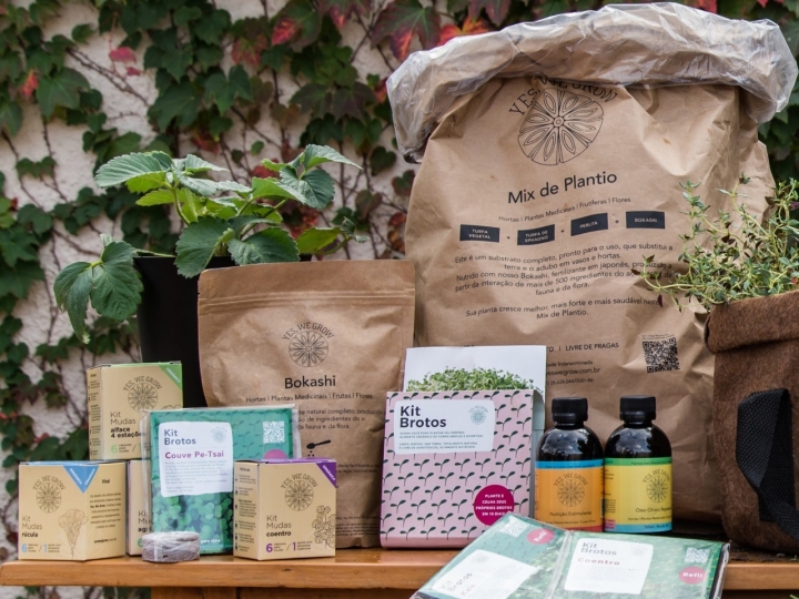 Horta em casa: Dicas para criar a sua de maneira fácil e eficiente