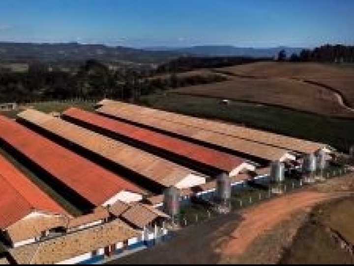 Pamplona firma convênio de R$ 50 milhões com Banrisul para investimentos no agronegócio