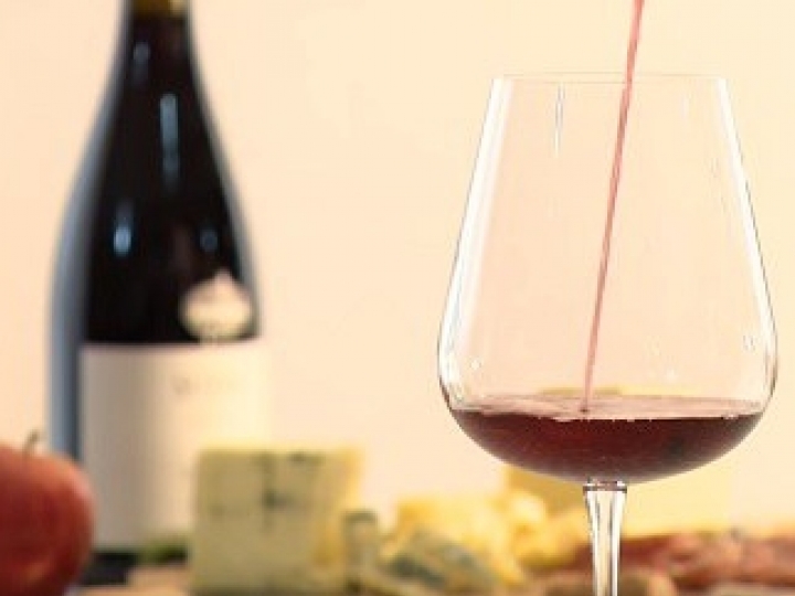 Vinhos produzidos em altitude em Santa Catarina recebem registro de Indicação Geográfica