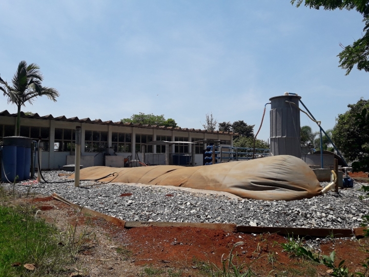 Suinocultura, potencial fonte de energia com tecnologia IZ e JLTec 