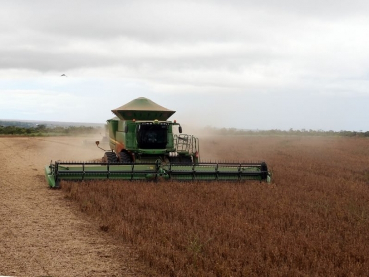 Valor da Produção Agropecuária de 2021 é estimado em R$ 1,099 trilhão