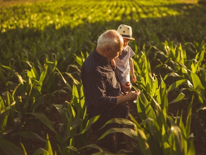 Produtores rurais e agricultores familiares têm até setembro para negociar com a União dívidas adquiridas durante a pandemia