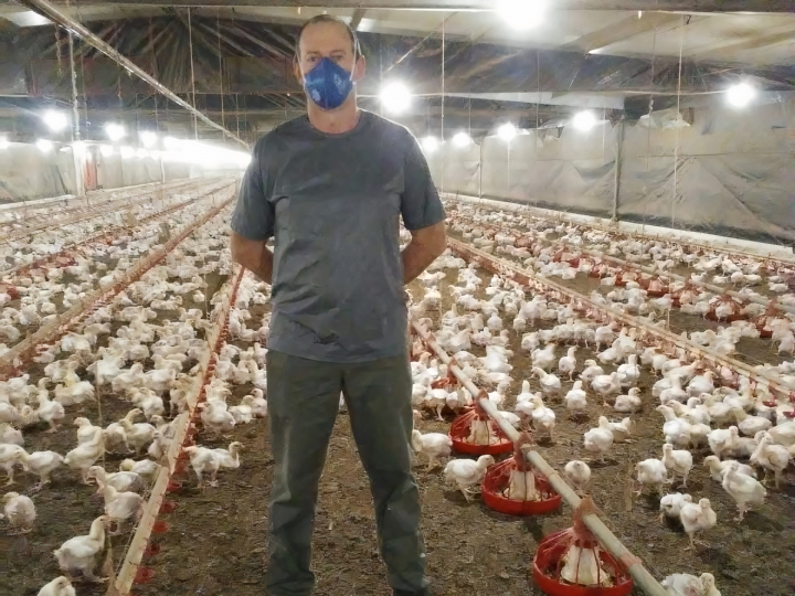 Produtor otimiza uso da ração e melhora conversão alimentar das aves com manejo correto