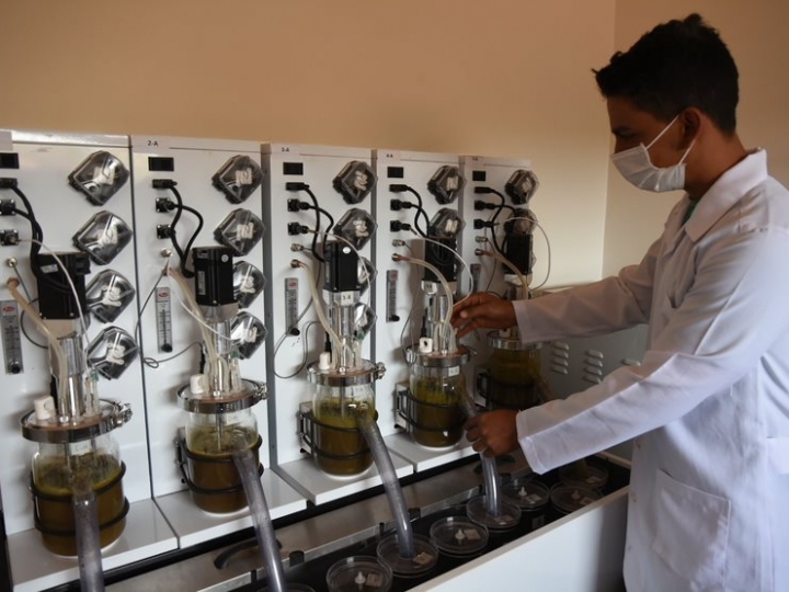 JBS faz parceria com Instituto de Zootecnia em pesquisa sobre redução de gases de efeito estufa na pecuária