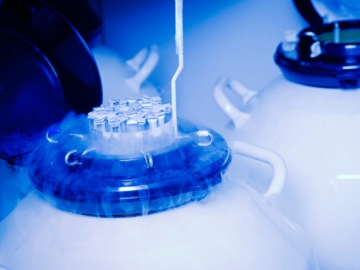 Coleta de sêmen bovino no Brasil cresceu mais de 100% 