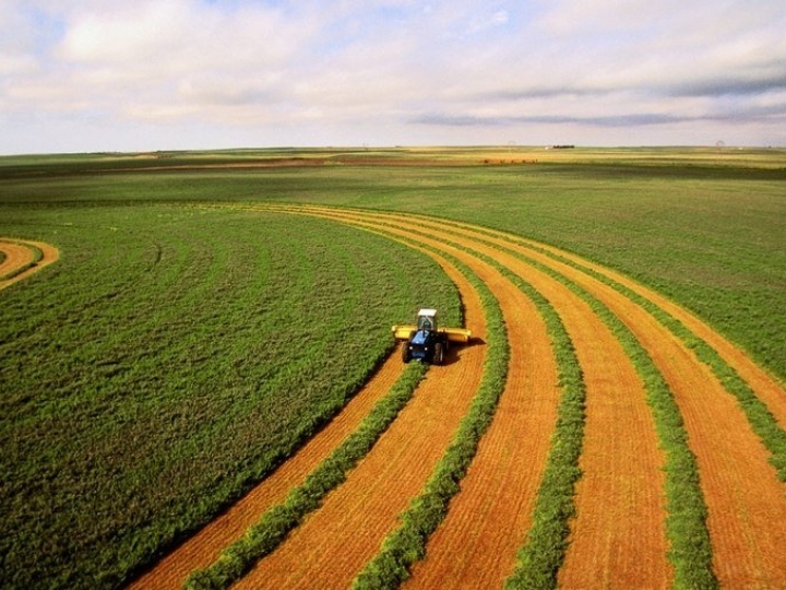 Agroindústria lança manifesto em defesa da democracia e critica instabilidade