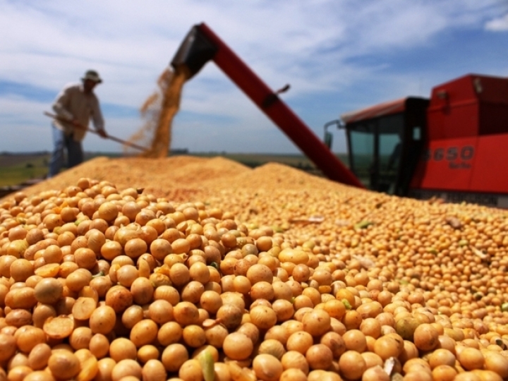 Valor Bruto da Produção está estimado em R$ 1,109 trilhão