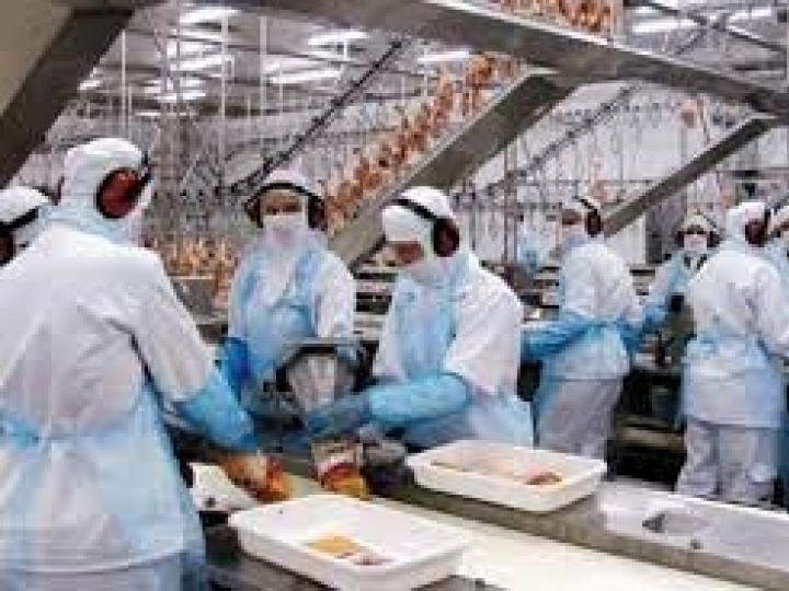 Geração de empregos na produção de alimentos de janeiro a julho tem melhor resultado desde 2011