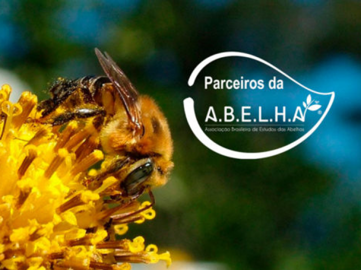 União pelas abelhas 
