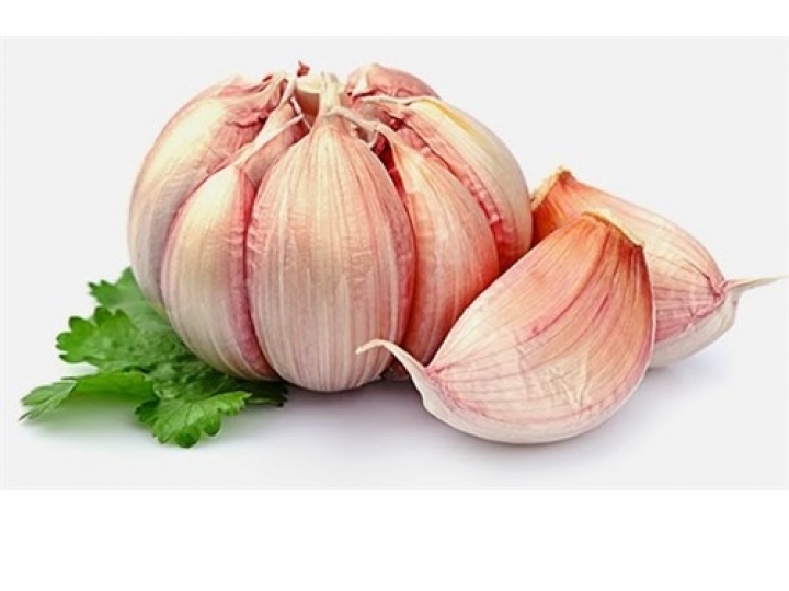 Alho argentino foi o mais importado pelo Brasil no primeiro semestre