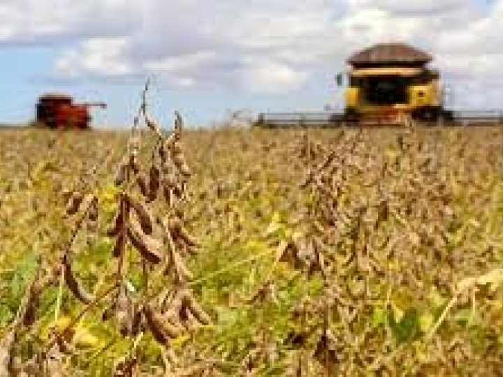 Banco do Brasil reforça apoio aos produtores rurais com R$ 10,5 bilhões