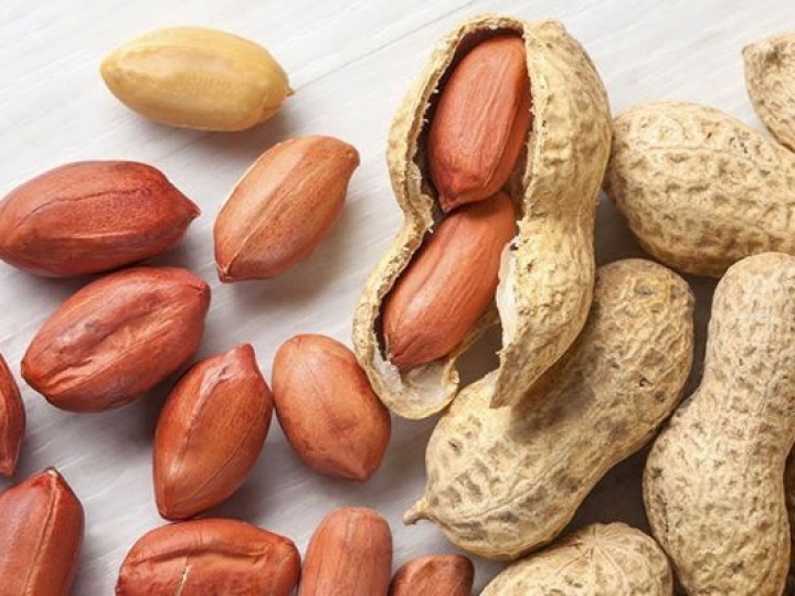 Pesquisadores sistematizam lista de produtos registrados para a cultura do amendoim