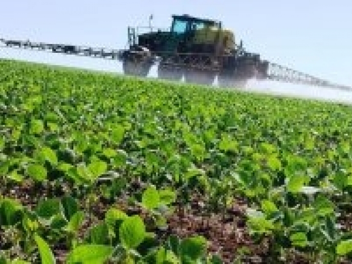 Segmento de fungicidas protetores cresce pela 6ª safra consecutiva e movimenta R$ 2,1 bilhões no Brasil