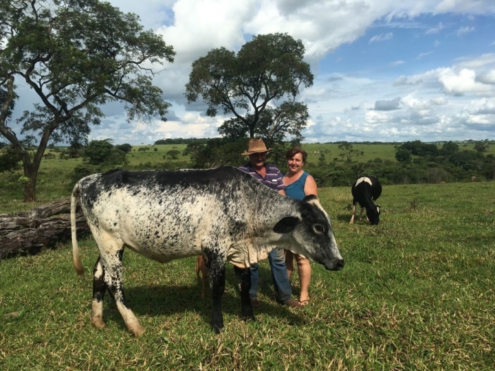 CDRS/CATI: extensão rural é essencial para os pecuaristas