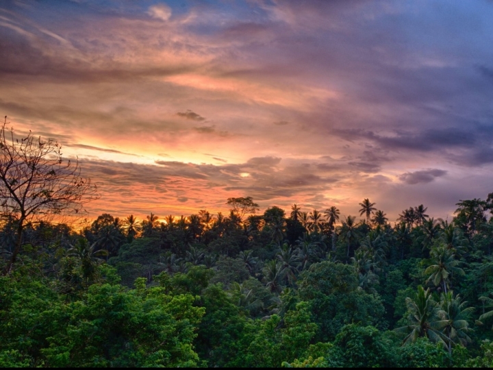 Mercado de carbono, financiamentos e Amazônia  serão prioridades do Brasil na COP-26
