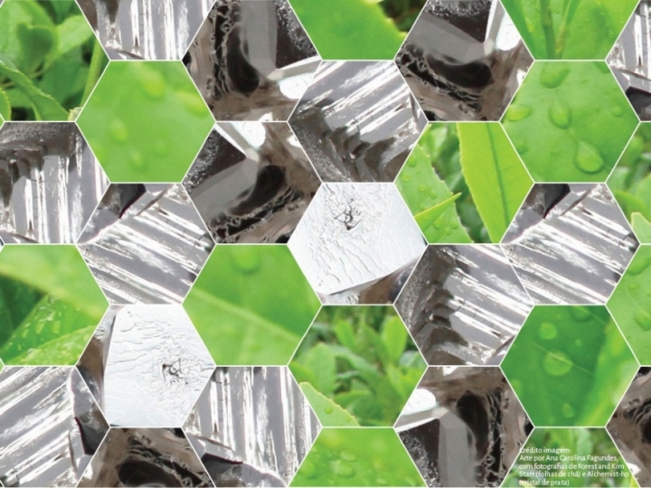 Nanopartículas para recuperar plantas em condição de seca