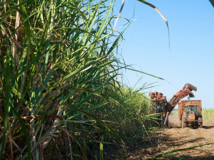 Copersucar evitou a emissão de 2,4 milhões de toneladas de CO2 eq na última safra 