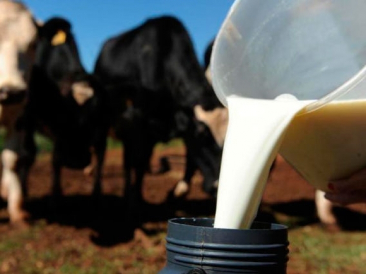 COE da pecuária de leite acumula alta de 11,49% de janeiro a junho de 2021