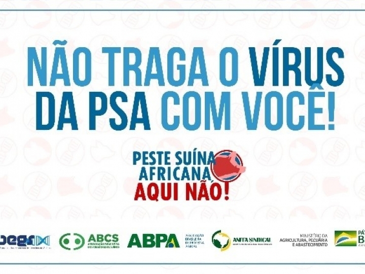 Campanha para evitar Peste Suína Africana no país ganha reforço nas redes sociais 