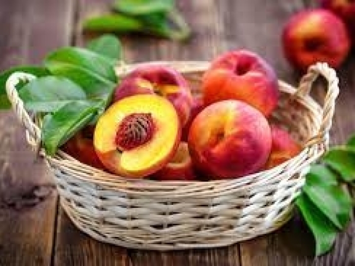 Zoneamento agrícola de risco climático para pêssego e nectarina é ampliado para todo o Brasil