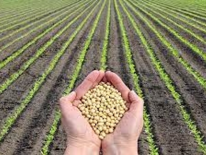 Ativa Investimentos amplia cobertura no setor de agronegócios 