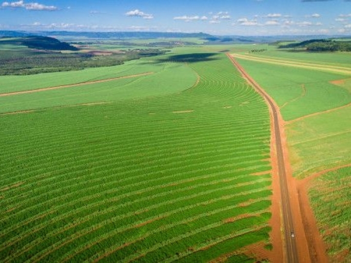 Taranis planeja monitorar 250 mil  hectares de plantações 