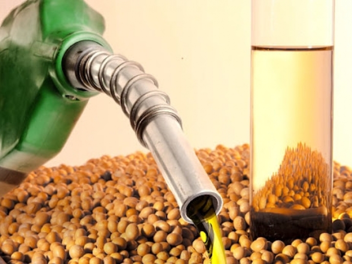 Processamento de soja cresce em julho, mas redução da  mistura de biodiesel deve impactar próximos meses 