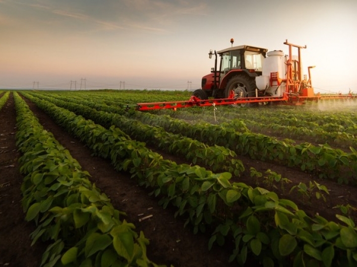 CARF: gastos com arrendamento agrícola vinculados à atividade econômica geram créditos de PIS e Cofins