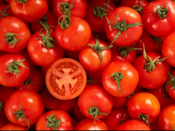 Seminário GranTomate traz tendências da cultura e apresenta inovações digitais para o cultivo 