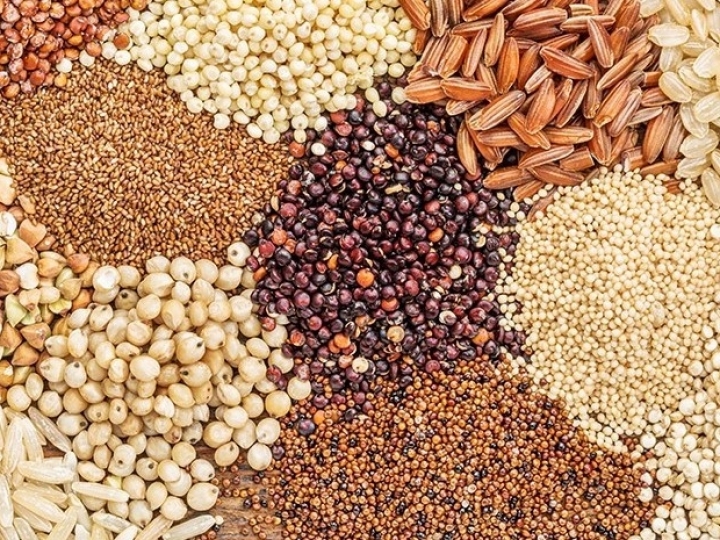 Brasil exporta mais de 92 mil toneladas de ração até agosto de 2021