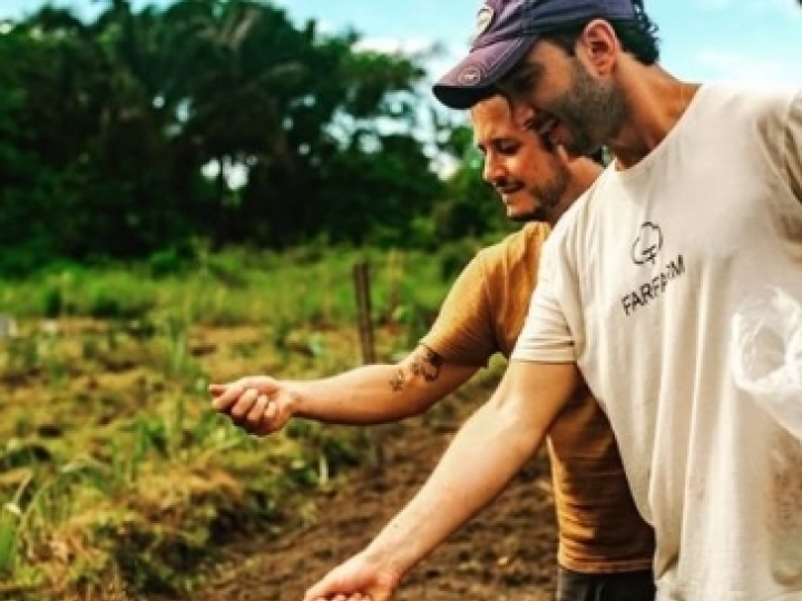 Projeto de algodão em agrofloresta quer transformar a indústria têxtil no Brasil