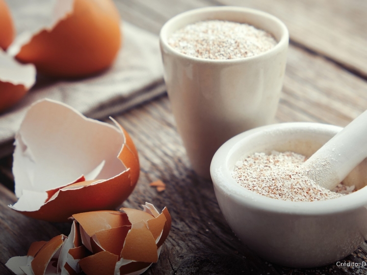 Casca do ovo é rica em nutrientes e possibilita importantes aplicações na indústria