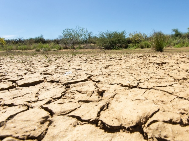 Os ajustes de solo para o clima seco no Brasil