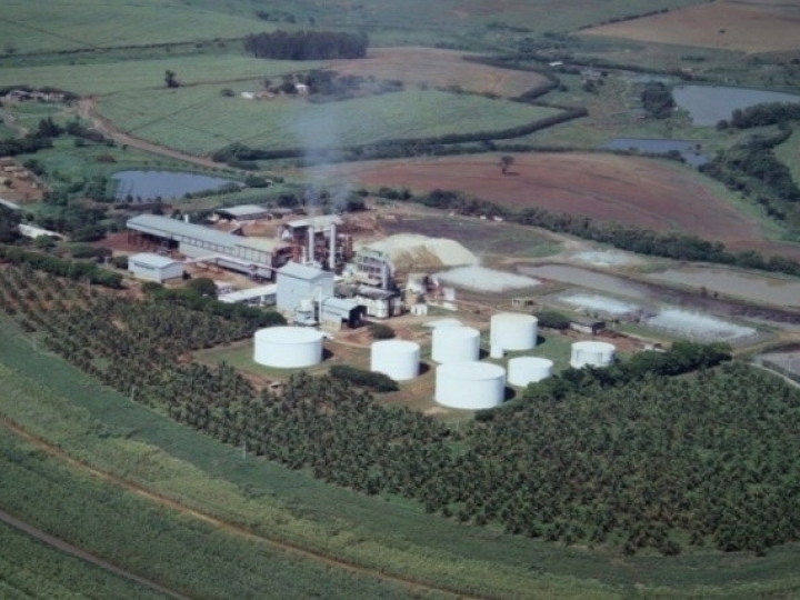 Usina BIOENERGIA DO BRASIL formará uma UPI (SPE) para venda em leilão