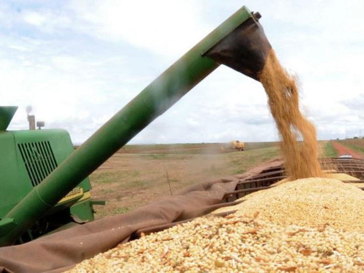 Ipea prevê crescimento do PIB Agropecuário de 1,2% em 2021 e 3,4% em 2022 