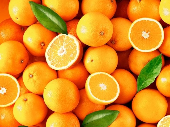 Safra 2020/21 da laranja foi responsável por 5,94% das vagas da agricultura brasileira com mais de 40 mil postos 