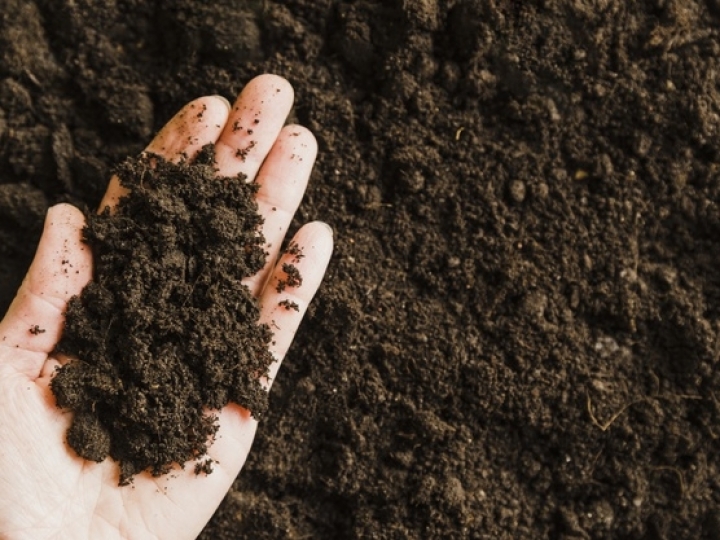 Embrapa apresenta experiência brasileira na recarbonização de solos em plenária da FAO