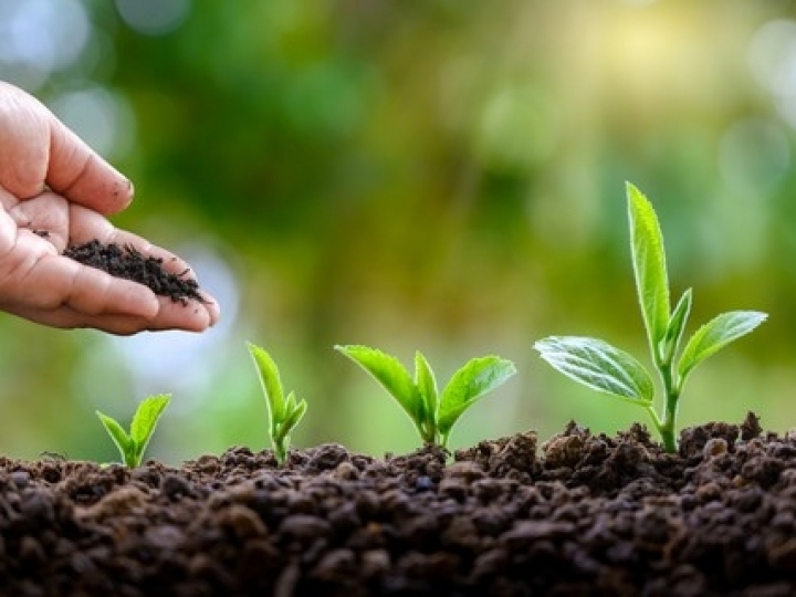 Índice de Poder de Compra de Fertilizantes aponta estabilidade