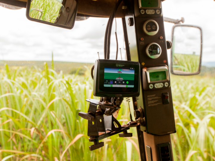 Pragas, falta de mão de obra e desperdícios: como superar os desafios