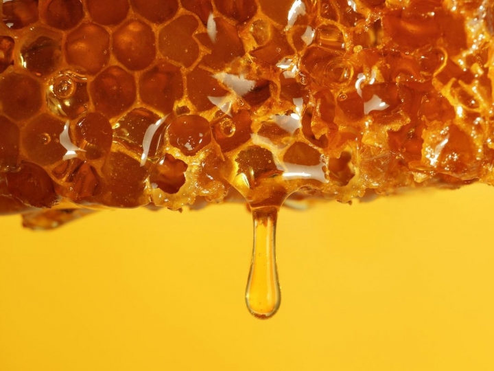 Campanha Mel Seguro: CATI/CDRS realiza live sobre o mel na culinária