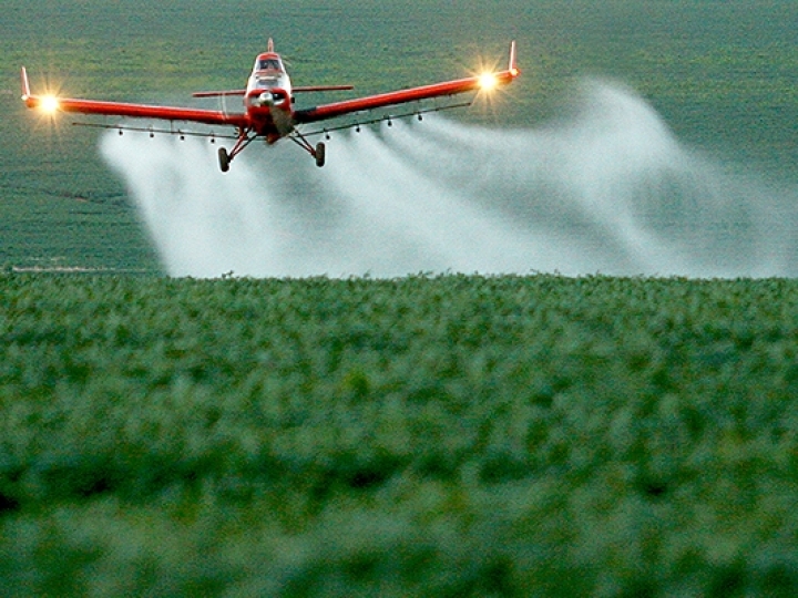 Decreto estabelece novas regras para o registro e pesquisa de agrotóxicos