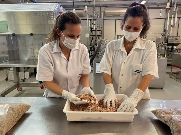 Embrapa apresenta em conferência internacional resultados promissores de uso da fibra de caju em alimentos plant-based 