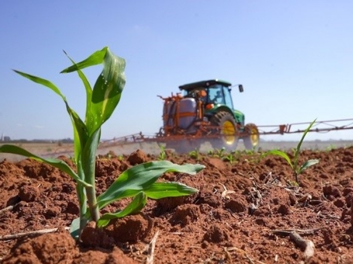 Novo biodefensivo à base de baculovírus chega ao mercado