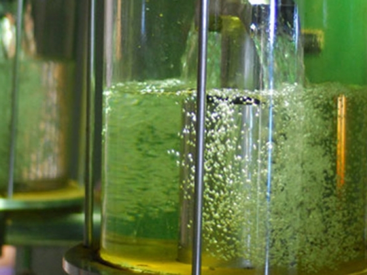 Venda direta de etanol em dez perguntas e respostas