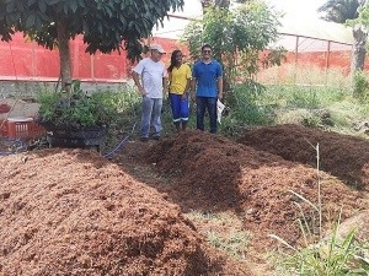 Curso ensina compostagem de resíduos orgânicos  da agroindústria do açaí 