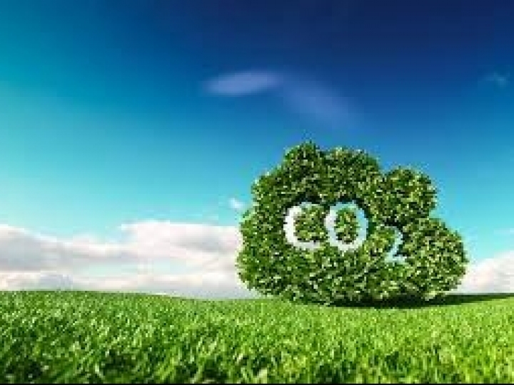 Nova fase de iniciativa Carbono Bayer reúne mais de 1.800 agricultores no Brasil 