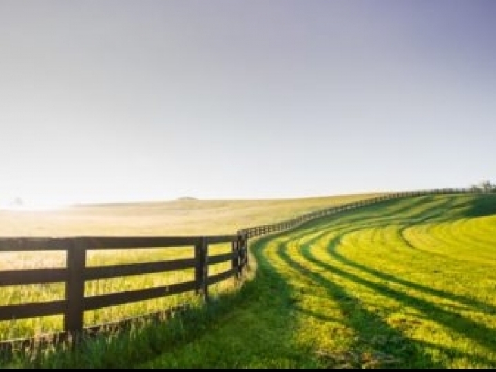 Os segredos de produtividade de 100 fazendas posicionadas entre as mais eficientes do Brasil