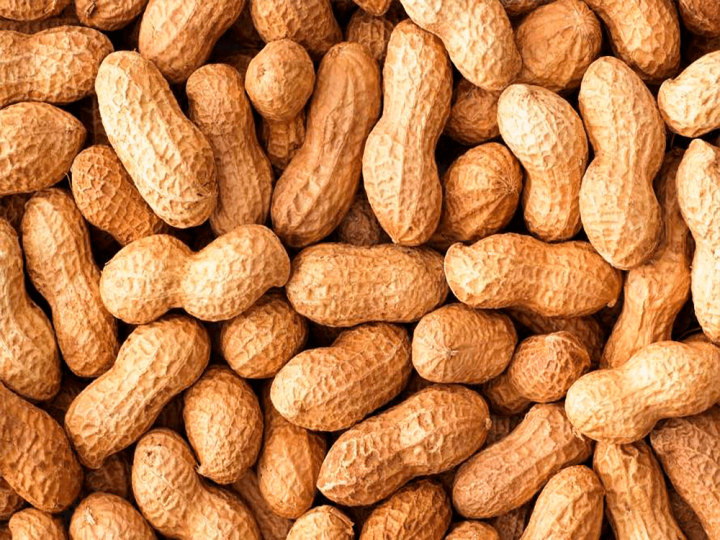 Produção de amendoim estimada em 589 mil toneladas para safra 2021/22